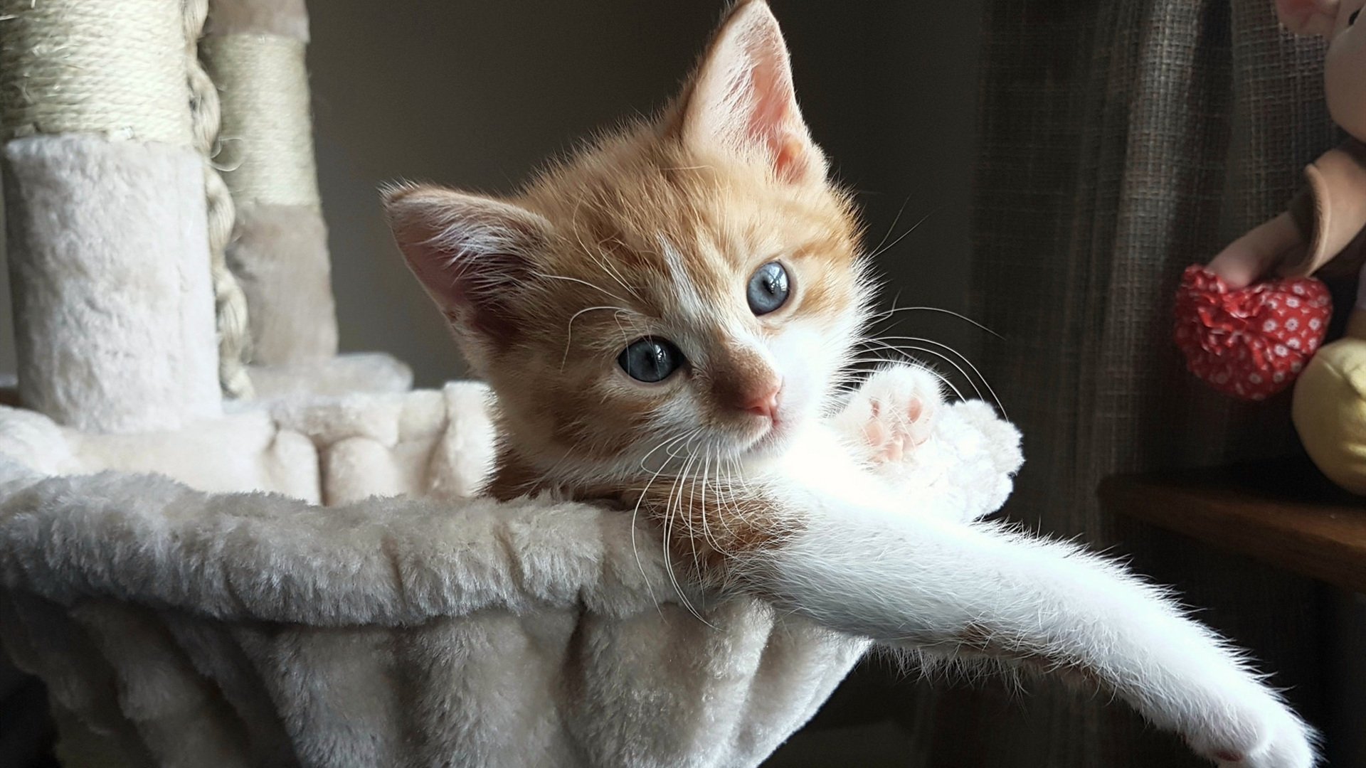 墨西哥马术队在巴黎奥运会三项赛中获得第七名,表现稳健。,墨西哥马拉松