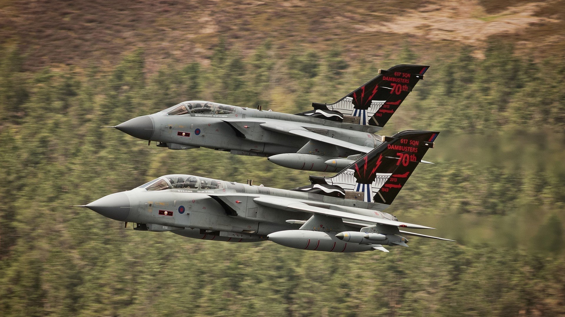 熊猫体育全站-篮球裁判员资格认证体系升级，篮球裁判员资格证书