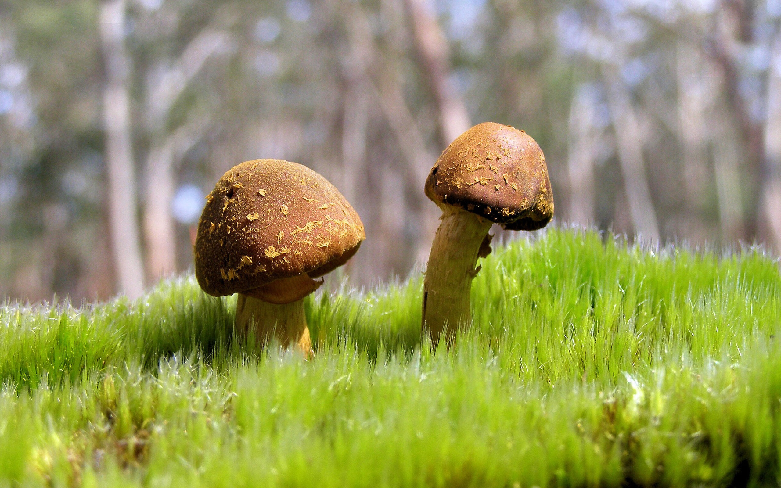 英超经典比赛,精彩入球和神级扑救刷出新高度,英超精彩进球