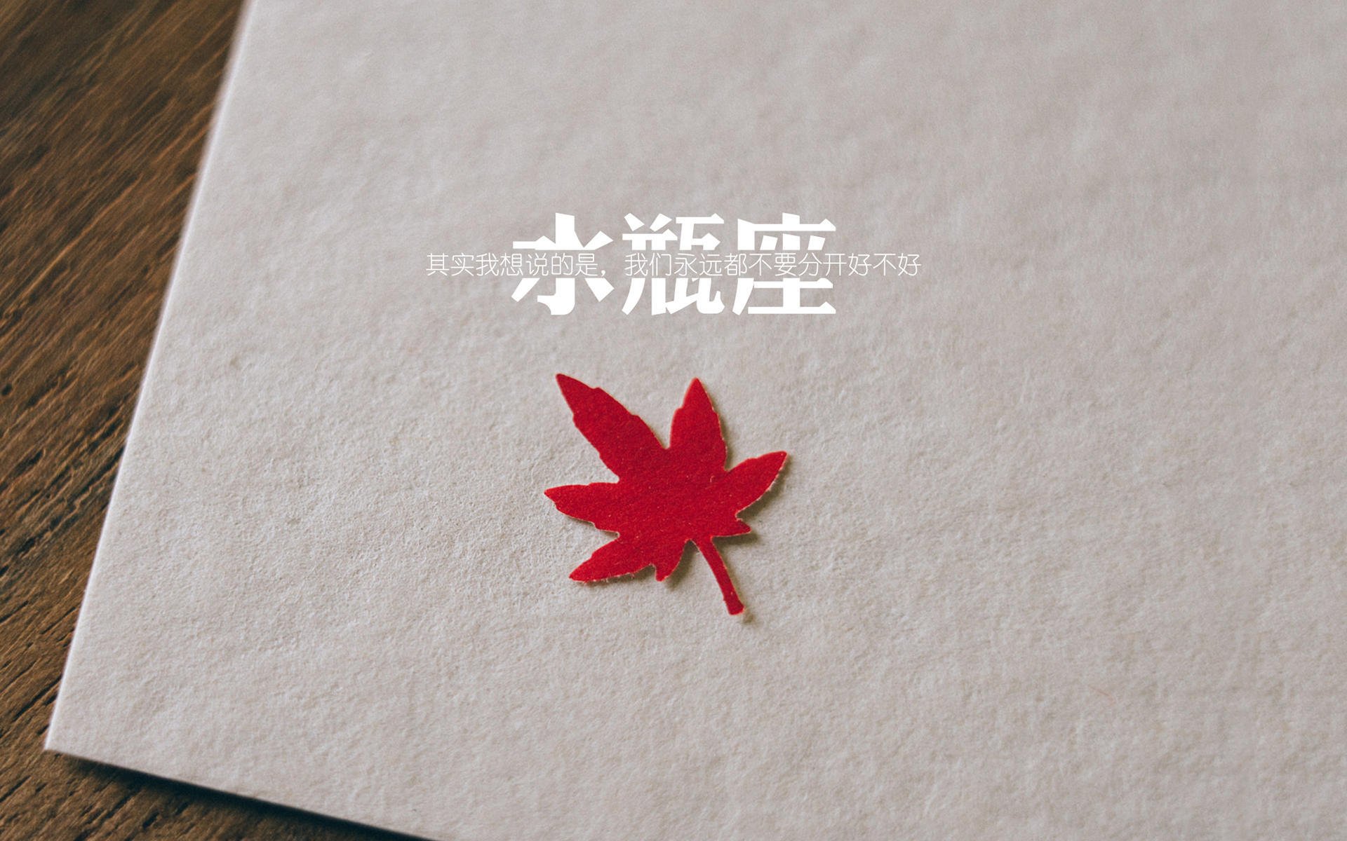 赛季中场:最令人期待的“明星之夜”精彩盘点,明星之夜音乐餐厅