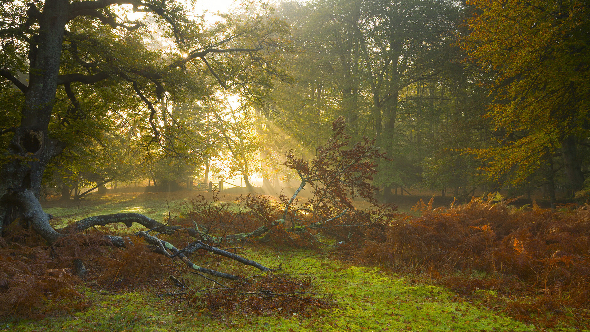 赛季中最激烈的对决：火爆场面不容错过，对决模式赛季奖励