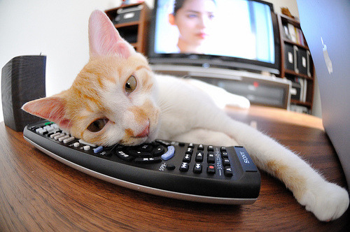 熊猫体育下载-仁川联防守表现提升，仁川联队vsfc首尔