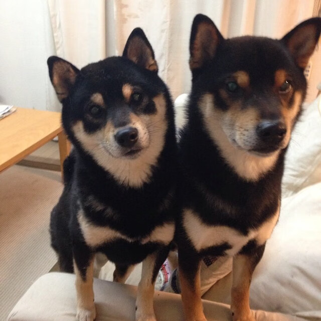 熊猫体育在线官网-切尔西3-2热刺，蓝军逆转取胜，切尔西热刺比赛时间