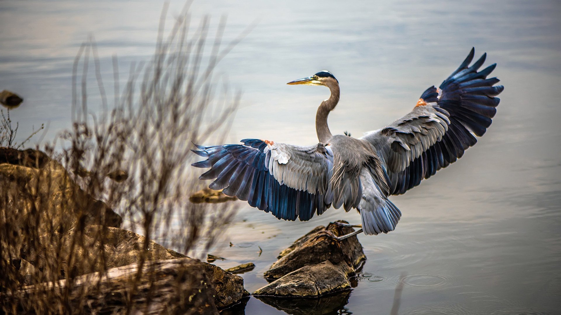 南安普顿主场氛围热烈,球迷支持不减,南安普顿主客场球衣