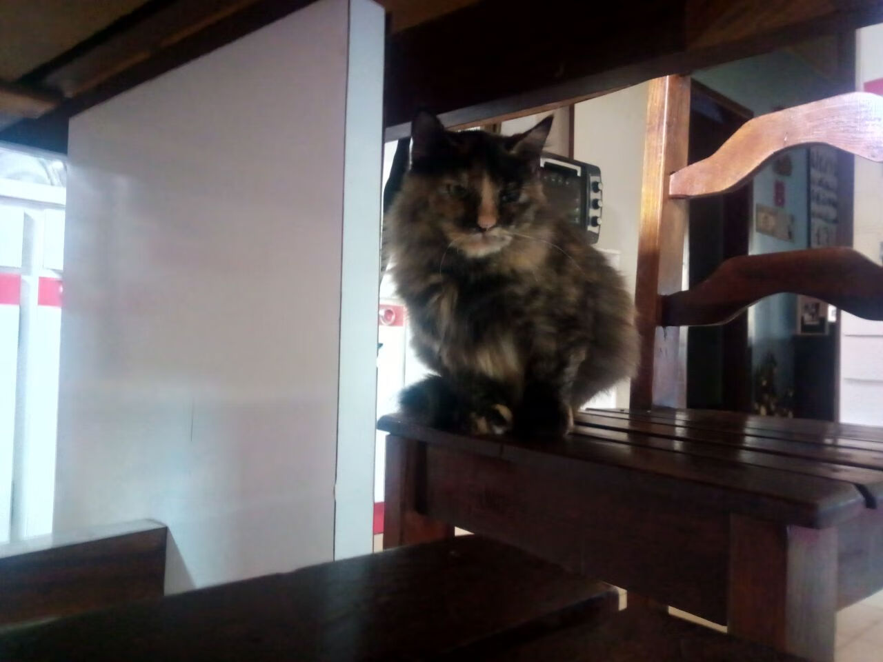 奮勇作戰,表現熱血英勇,取得勝利,奋勇作战是成语吗