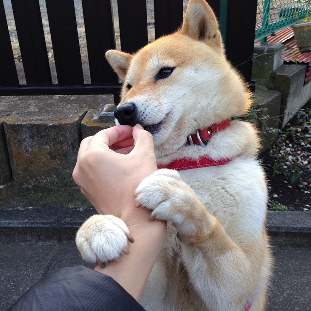 皇马本赛季防守体系有何调整,皇马本赛季首发