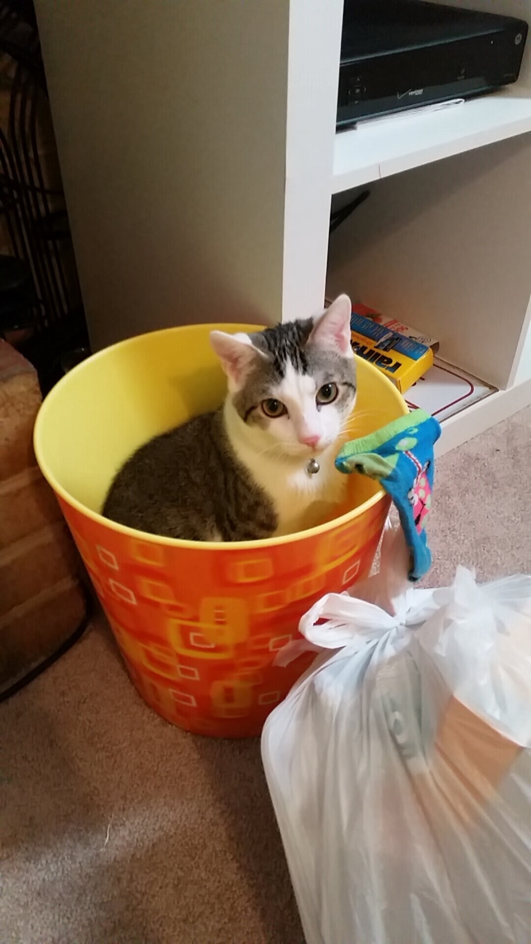 逆转奥运跆拳道赛最后1秒反击得分,奥运会跆拳道wtf