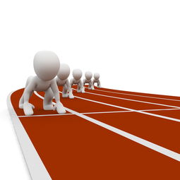 熊猫体育网址-中小学体育健康教育课程开发与实践，中小学体育与健康课程指导纲要