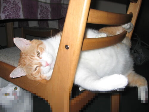 熊猫体育娱乐-五大联赛防线年龄结构是否决定联赛成绩走向，五大联赛标准