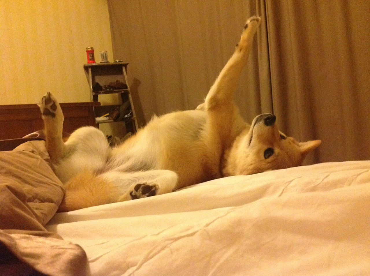 体育新闻中心构建赛事转播辅助AI字幕系统,体育转播用语