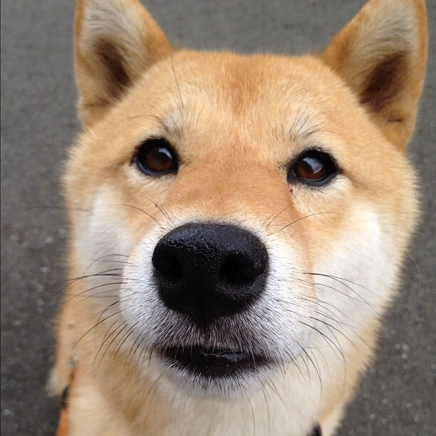 划频节奏控制精准,稳定发挥出色,划幅和划频