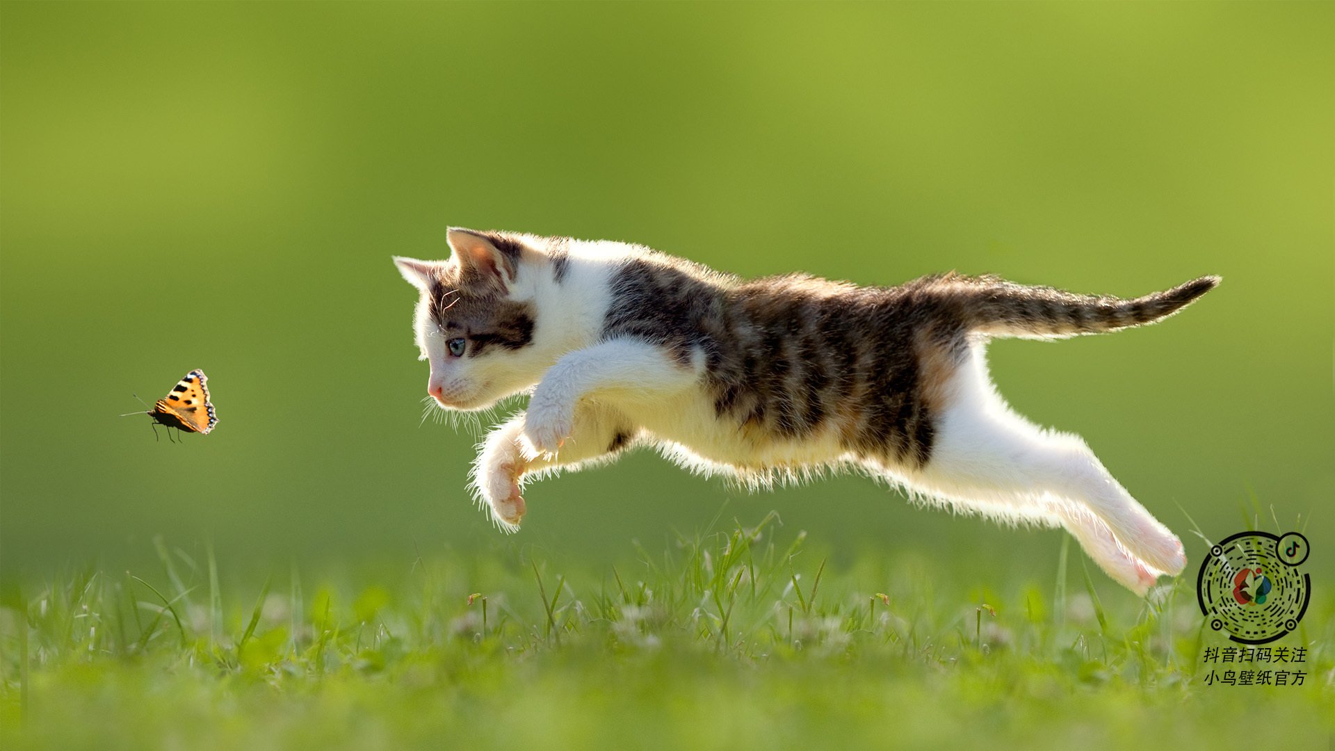 大牌球星短期归队助力国家队,战绩与话题双收,短期合同球星