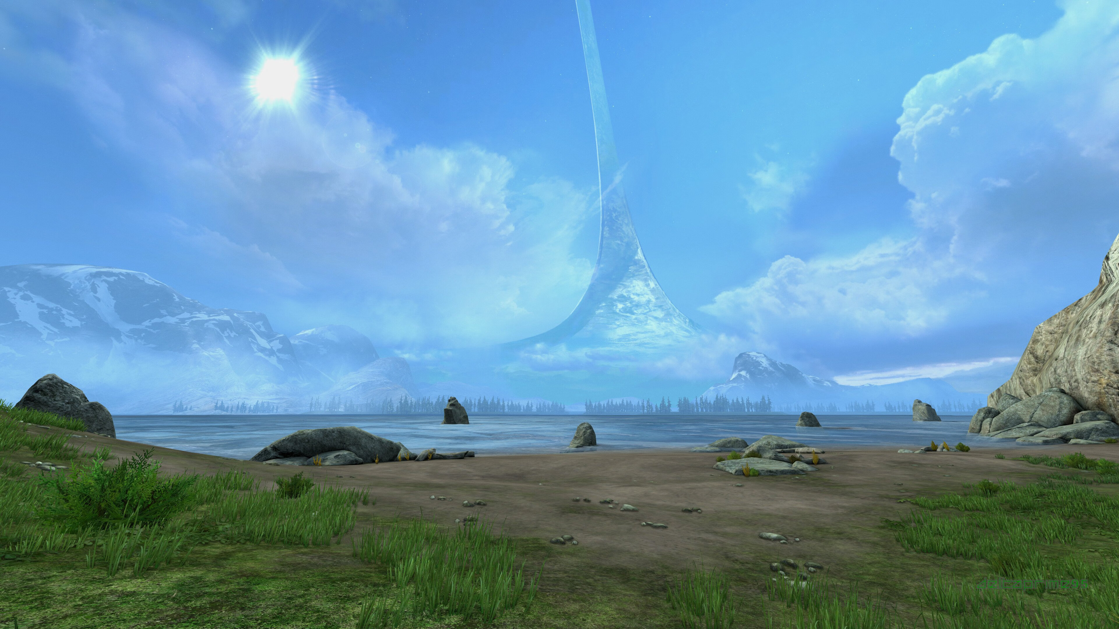 张伟丽训练中展现极高专注度,张伟丽最新训练