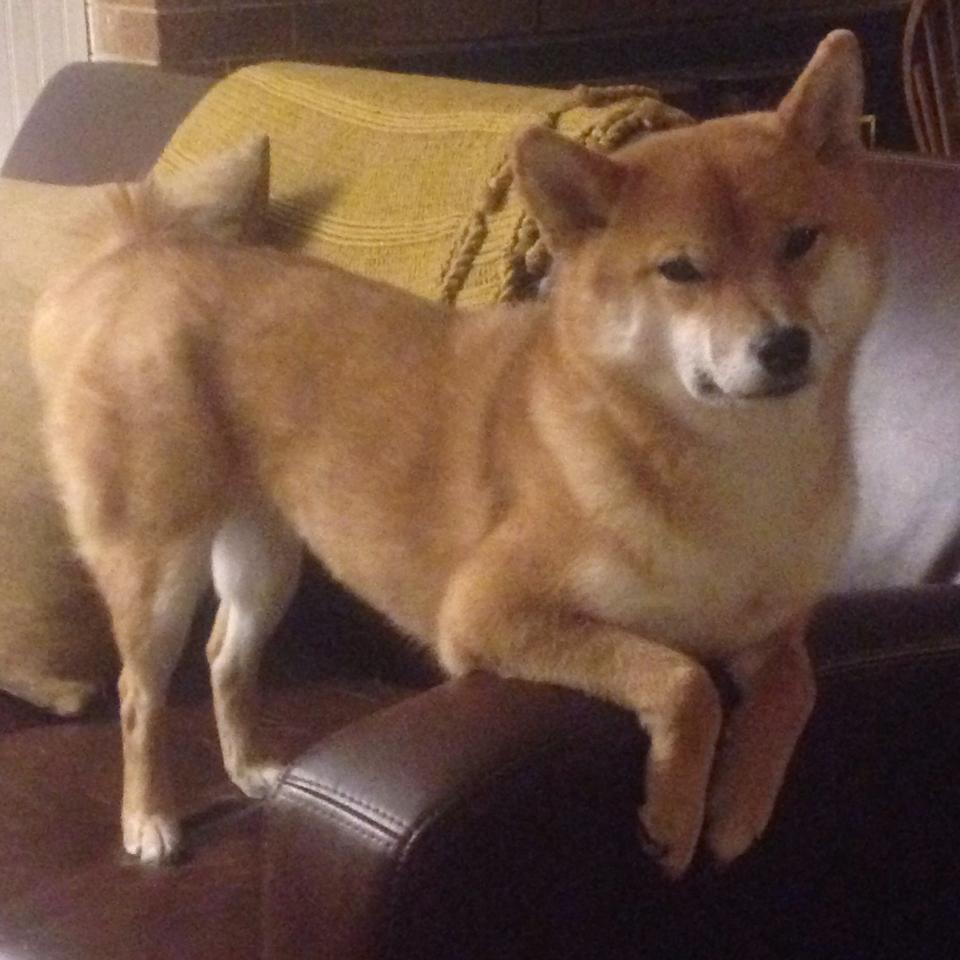 熊猫体育官方网站-西甲顶级盛宴：精彩瞬间轮番上演！，西甲经典比赛