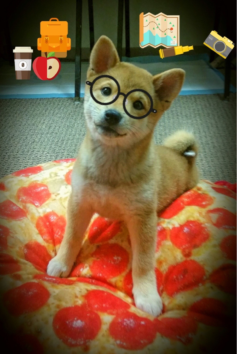 谷爱凌高难度动作挑战再创新高,谷爱凌接受采访视频